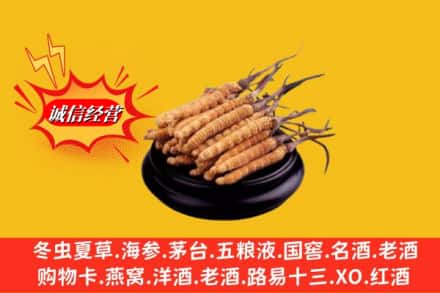武义县名酒回收冬虫夏草.jpg